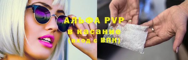 спиды Абаза