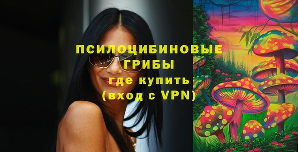 прущая мука Алзамай