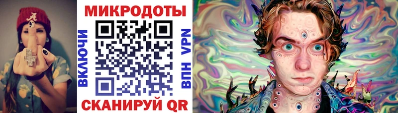 купить Шилка Галлюциногенные грибы GOLDEN TEACHER